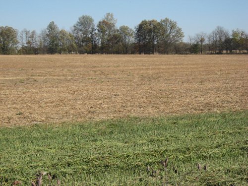 Property photo 38 - 110+/- Acres offered in 4 Tillable Tracts